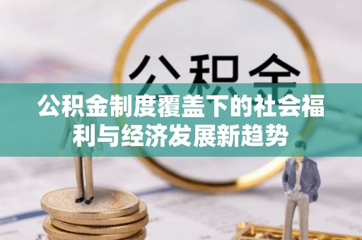 泰宁公积金制度覆盖下的社会福利与经济发展新趋势