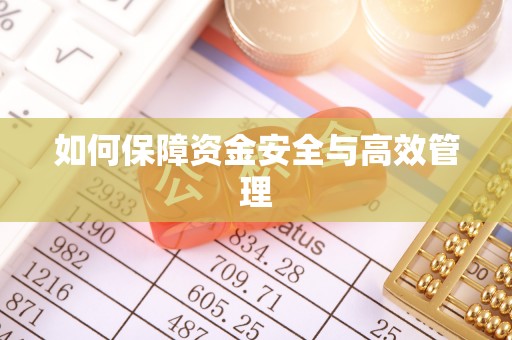 泰宁如何保障资金安全与高效管理