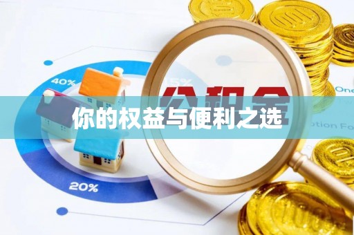 泰宁你的权益与便利之选