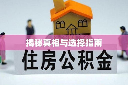 泰宁揭秘真相与选择指南