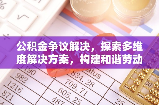 泰宁公积金争议解决，探索多维度解决方案，构建和谐劳动关系
