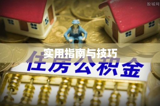 泰宁实用指南与技巧