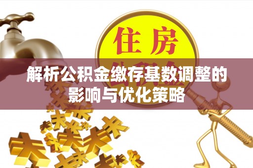 泰宁解析公积金缴存基数调整的影响与优化策略