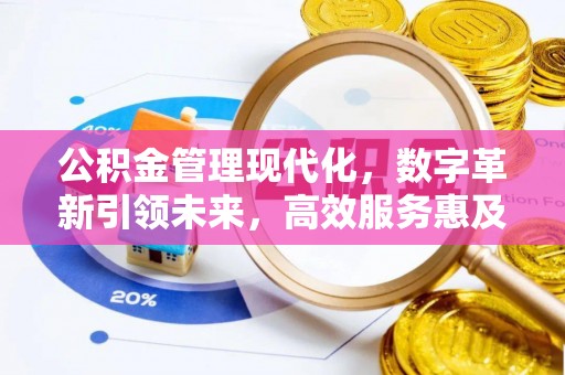 泰宁公积金管理现代化，数字革新引领未来，高效服务惠及民生