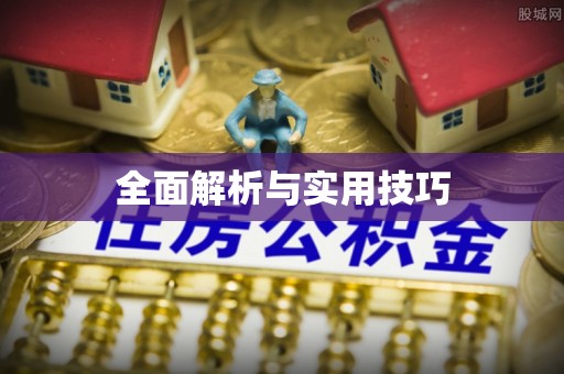 泰宁全面解析与实用技巧