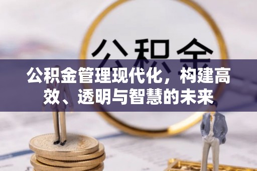 泰宁公积金管理现代化，构建高效、透明与智慧的未来