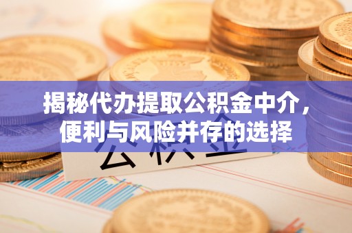 泰宁揭秘代办提取公积金中介，便利与风险并存的选择