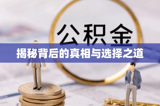 泰宁揭秘背后的真相与选择之道