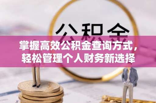 泰宁掌握高效公积金查询方式，轻松管理个人财务新选择