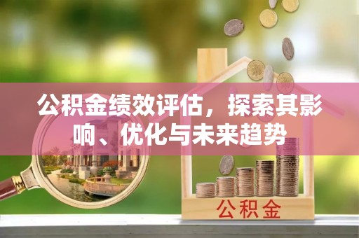 泰宁公积金绩效评估，探索其影响、优化与未来趋势