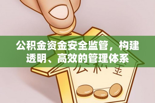 泰宁公积金资金安全监管，构建透明、高效的管理体系