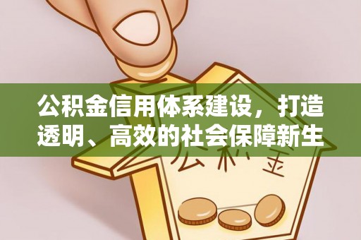 泰宁公积金信用体系建设，打造透明、高效的社会保障新生态