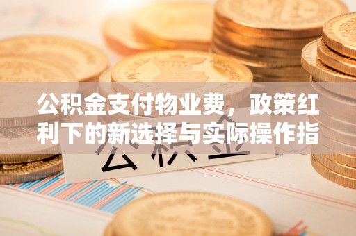 泰宁公积金支付物业费，政策红利下的新选择与实际操作指南