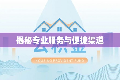泰宁揭秘专业服务与便捷渠道