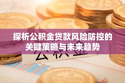 泰宁探析公积金贷款风险防控的关键策略与未来趋势