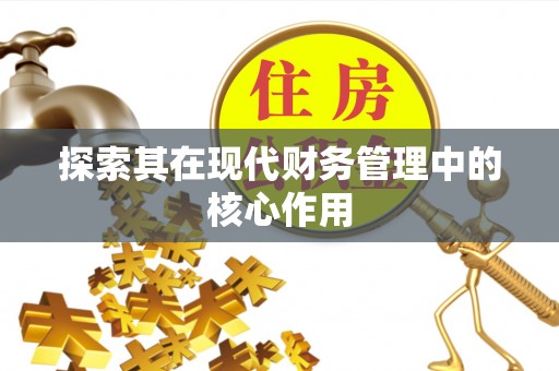 泰宁探索其在现代财务管理中的核心作用