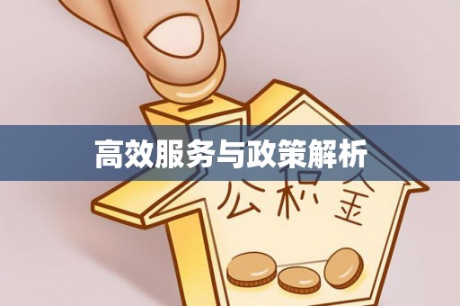泰宁高效服务与政策解析