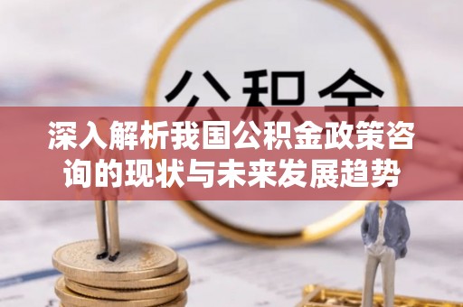 泰宁深入解析我国公积金政策咨询的现状与未来发展趋势