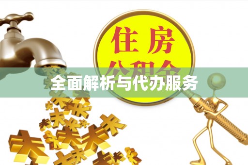 泰宁全面解析与代办服务