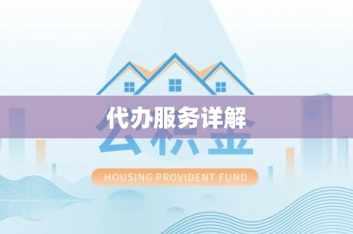 泰宁代办服务详解