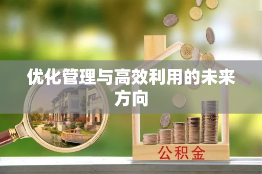 泰宁优化管理与高效利用的未来方向