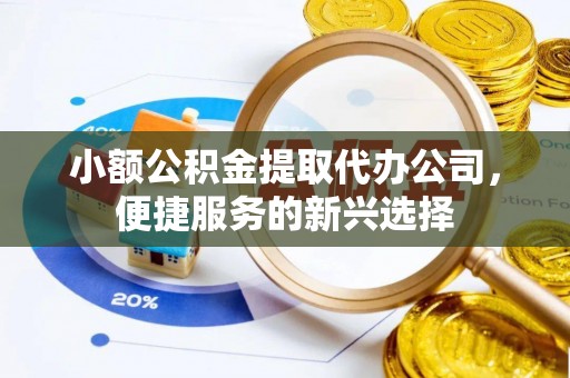 泰宁小额公积金提取代办公司，便捷服务的新兴选择