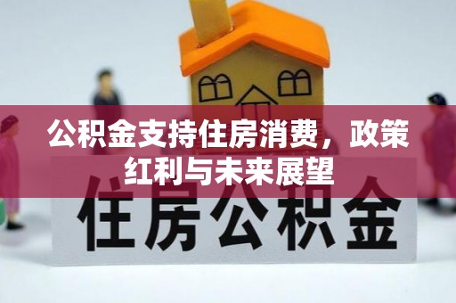 泰宁公积金支持住房消费，政策红利与未来展望