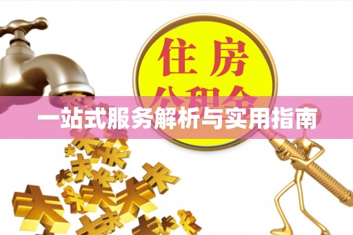 泰宁一站式服务解析与实用指南