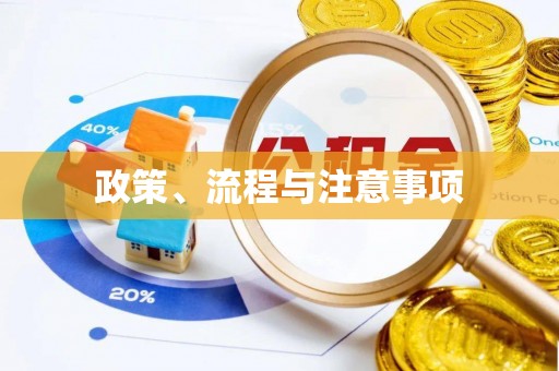 泰宁政策、流程与注意事项