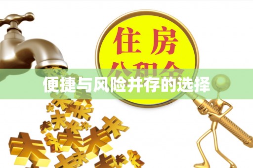 泰宁便捷与风险并存的选择