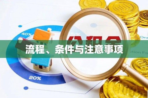 泰宁流程、条件与注意事项